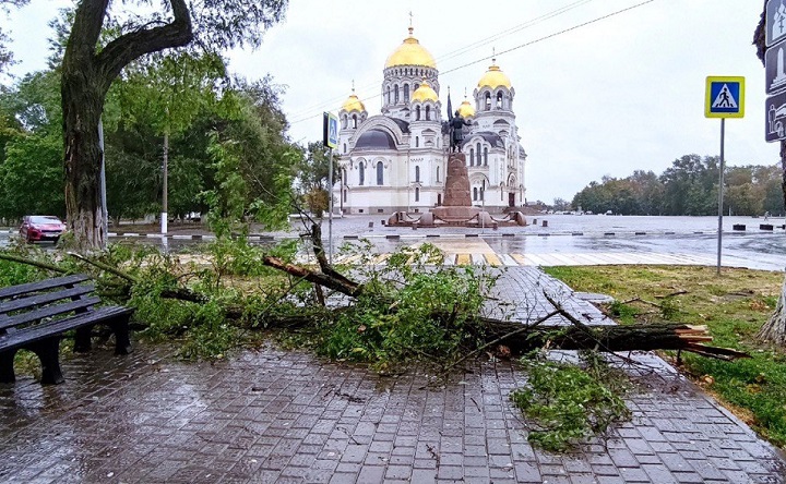 Ветка на аллее проспекта Ермака. Фото Никиты Сиденина