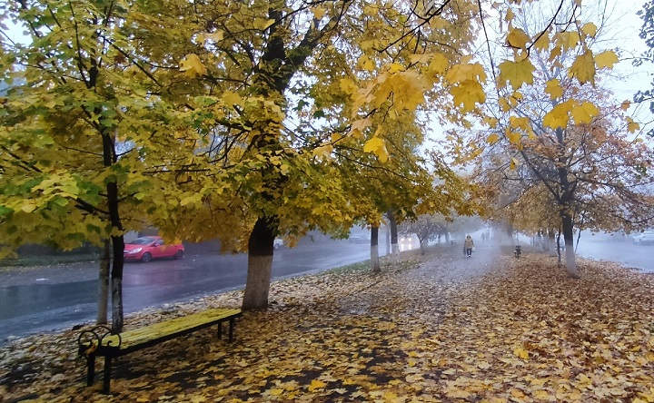 Осень в Новочеркасске. Фото Никиты Сиденина