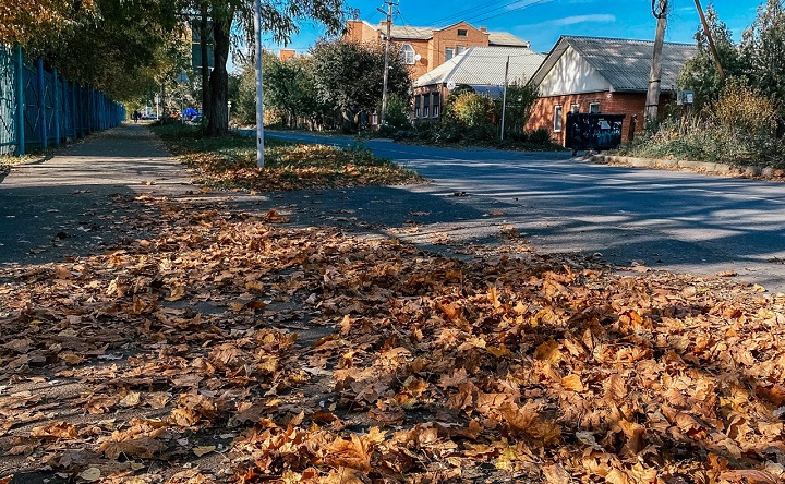 Осень в Таганроге. Фото Елены Анисимовой.