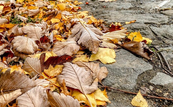 Осень в Таганроге. Фото Елены Анисимовой.