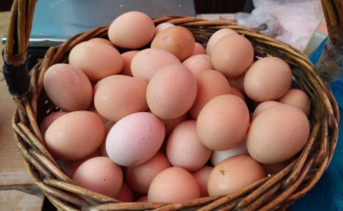 Яйца в корзине. Фото donnews.ru