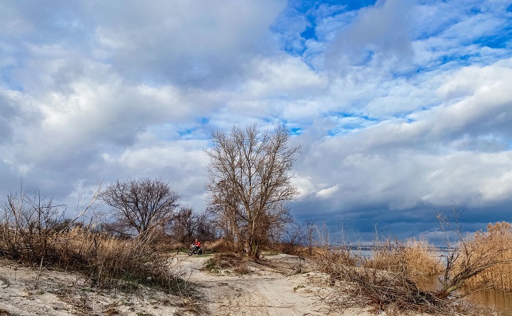 Декабрь в Таганроге. Фото Елены Анисимовой