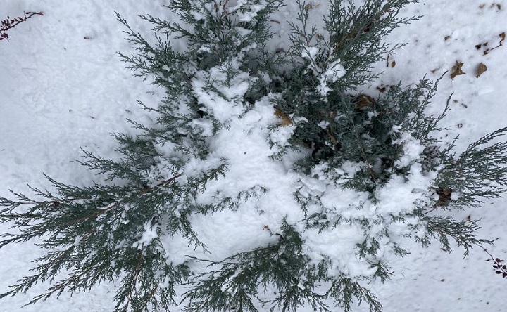 Снег. Фото ruffnews.ru
