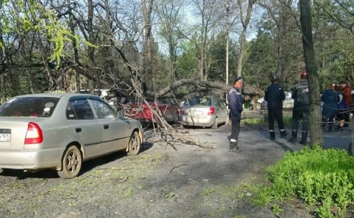 Ерш новочеркасск