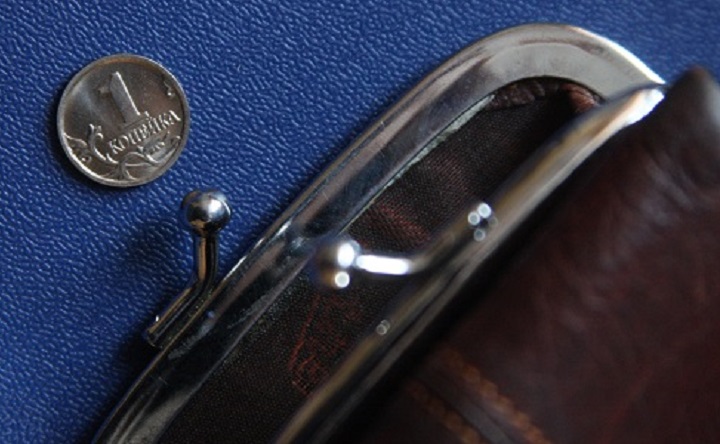Монетка и кошелёк. Фото Игоря Кубединова\ТАСС.
