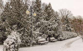 Зима в Таганроге. Фото Сергея Плишенко