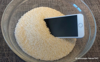 Телефон в миске с рисом. Фото Александа Левчук/ТАСС