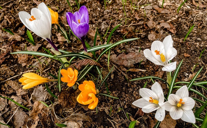 Весна в Таганроге. Фото ruffnews.ru