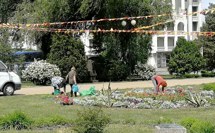 Сотрудницы «Чистого города» высаживают цветы на Петровской площади. Фото ruffnews.ru