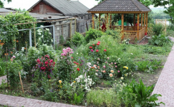 В Госпитальном саду в Азове. Фото Азовского музея–заповедника