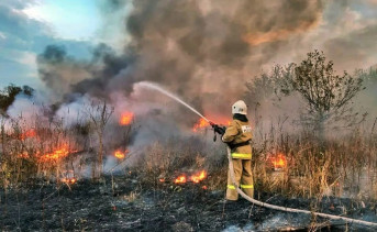 Тушение ландшафтного пожара. Фото из архива МЧС России