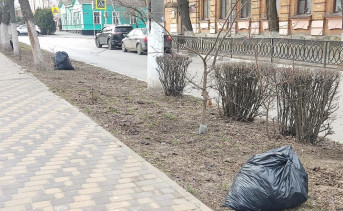 Мешки с мусором, собранным на улице. Фото Алёны Ткаченко
