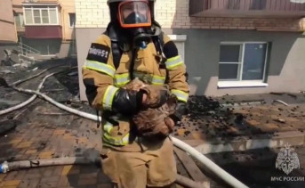 Пожарный выносит спасённого кота из горящего дома в Батайске. Скрин видео МЧС России