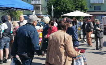 На ярмарке выходного дня на Привокзальной площади. Фото gorodazov.ru