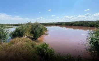 Вода окрасилась в розовый цвет. Фото t.me/mpro161