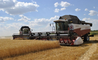 Сбор урожая. Фото пресс-службы губернатора Ростовской области