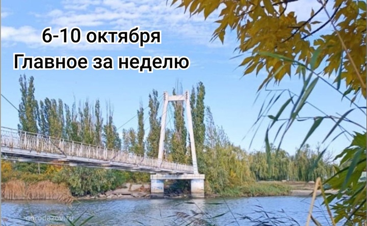 Подвесной мост. Фото Елены Фроловой