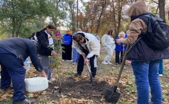 Посадка деревьев. Фото telegram-канала «Экосфера Ростовской области»