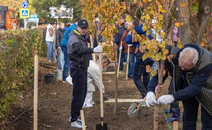 День древонасаждения в Таганроге. Фото telegram-канала Светланы Камбуловой