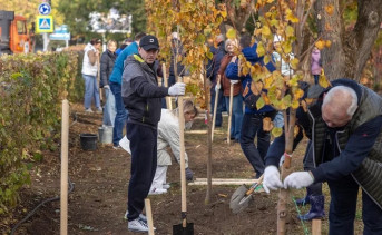 День древонасаждения в Таганроге. Фото telegram-канала Светланы Камбуловой