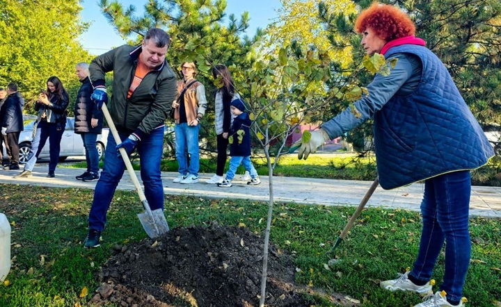 В Азове в День древонасаждения появилось около 300 новых деревьев
