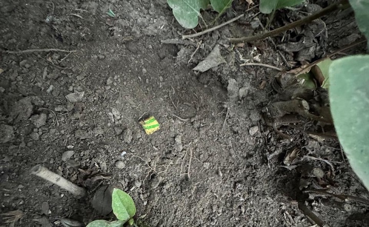 Закладка. Фото пресс-службы ГУ МВД по Ростовской области