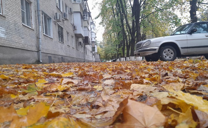 Осенний Азов. Фото Ольги Максимовой