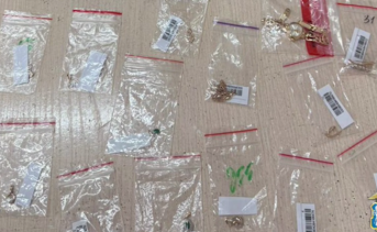 Ювелирные украшения, возвращённые хозяйке. Фото пресс-службы МУ МВД России «Новочеркасское