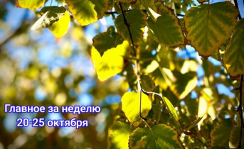 Осенние листья. Фото ruffnews.ru