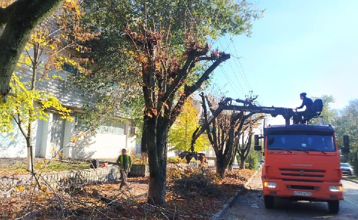 Обрезка деревьев. Фото telegram-канала Светланы Камбуловой