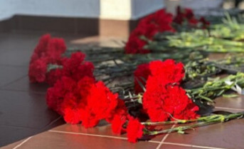 Гвоздики. Фото Дениса Лагутина