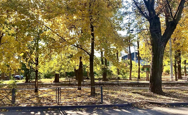 Осенний парк. Фото ruffnews.ru