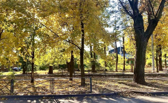 Осенний парк. Фото ruffnews.ru