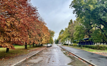 Осень в Таганроге. Фото ruffnews.ru