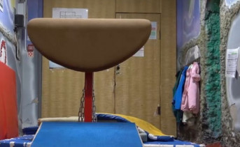 Спортивный снаряд. Скриншот эфира ТРК "Пульс"