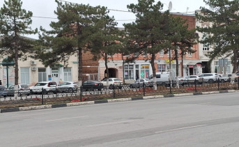 Оставшиеся сосны. Фото ruffnews.ru