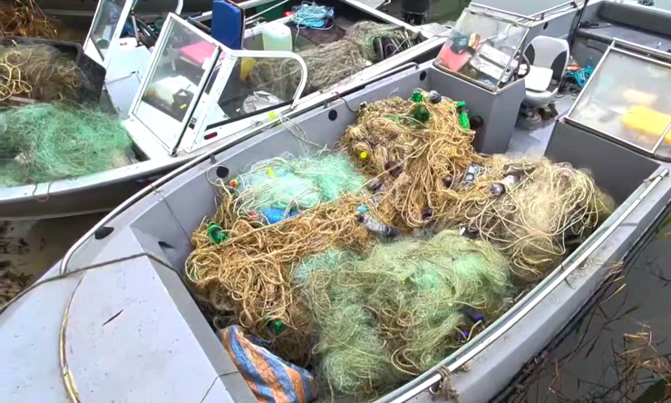 Браконьерские сети. Скриншот видео пресс-службы ГУ МВД по Ростовской области