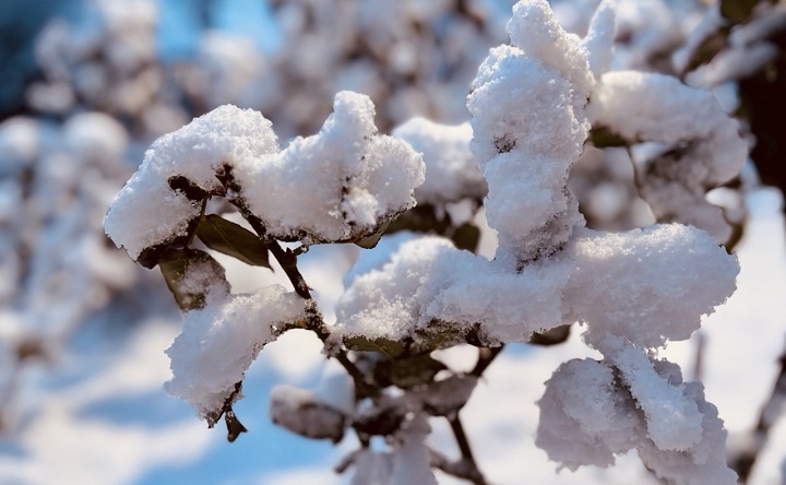 Декабрь в Таганроге. Фото ruffnews.ru