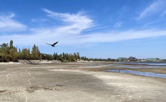 Береговая линия вдоль улицы Адмирала Крюйса. Фото ruffnews.ru