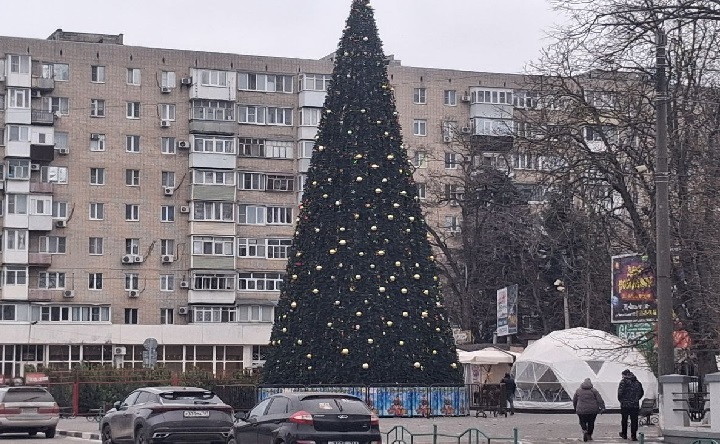 Городская ёлка. Фото Ольги Максимовой