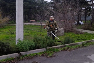 Покос травы. Фото МБУ "Городской парк"