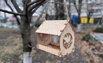 Кормушка в школьном дворе. Фото ruffnews.ru