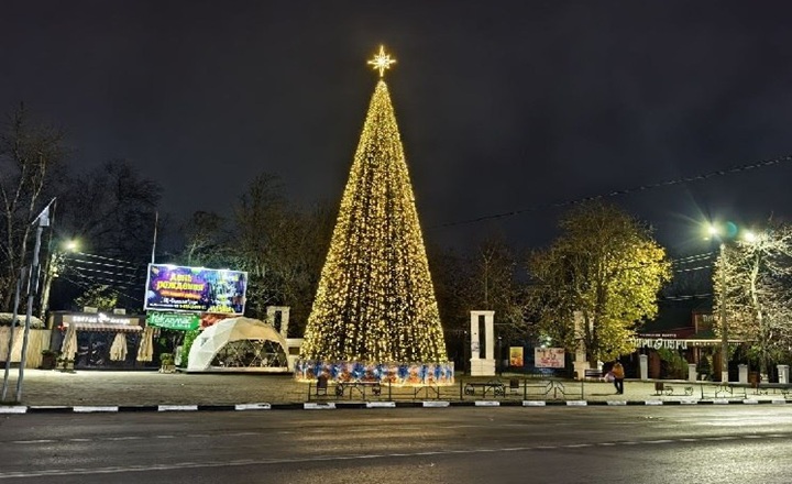 Новогодняя ёлка. Фото Романа Гурина