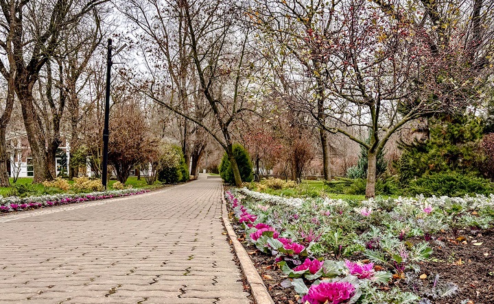 Аллеи в парке Горького. Фото ruffnews.ru
