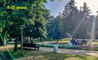 Июнь в Таганроге. Фото ruffnews.ru