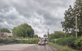 Упавшее дерево на улице Второй Советской. Фото telegram-канала Водители Таганрога