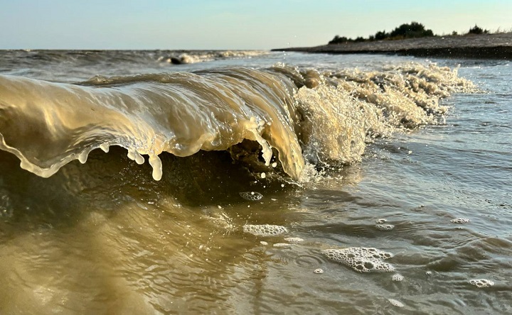 Таганрогский залив. Фото ruffnews.ru