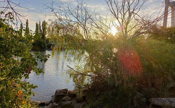 Азовка. Фото Натальи Чекалиной