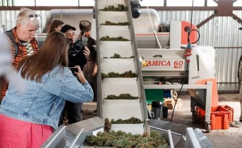 Туристы на винодельне. Фото Евгения Чистякова