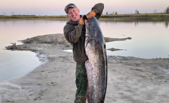 34-килограммовый сом. Фото Антона Куренкова